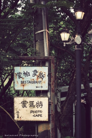 [5D2]50L蒙馬特影像咖啡