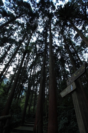 凌晨四點半從台北出發......