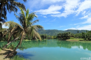 花蓮雲山水