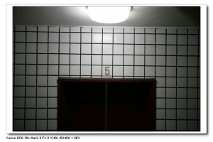 1DsII-28/1.8  50/1.4  135/2 城市紀實
