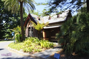 12-26 節禮日隨拍