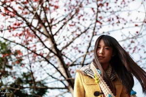 The spring shade。芯羽