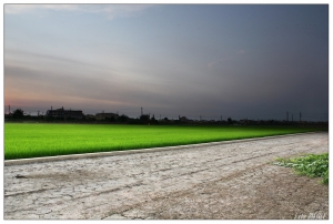 首發! 獻醜了.....黑卡搖一張 [稻田]