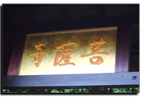 [台中]大里菩薩寺