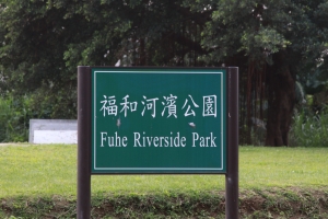 騎腳踏車
