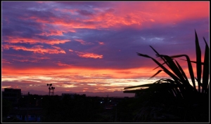 鄉村的晨曦也燒了