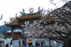 2010-03-14~淡水天元宮賞櫻