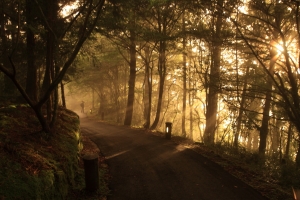晨光撒出金色陽光射線
