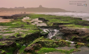 2010年初訪老梅( NIKON D90 +TOKINA12~24)