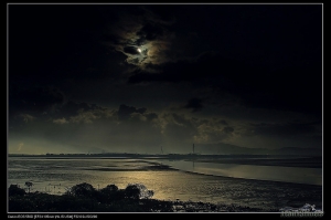 月亮 太陽傻傻分不清