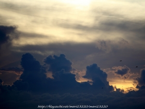 第一次的福壽山農場（圖多抱歉）