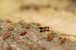 你一直動叫我怎麼拍呀!