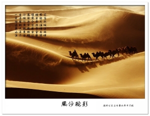 內蒙古 額濟納旗