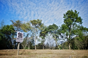 久違了太陽先生