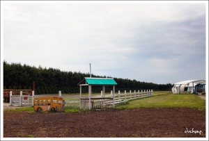 ::: A Children's Farm 休閒農場一日遊 by DV :::