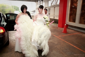 Bow & Annie Wedding  Party