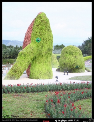 一會晴  一會雨 我在花博(傷眼多指教)