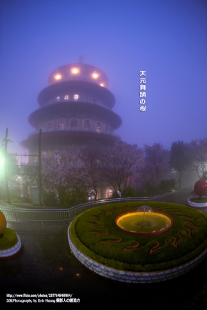 天元舞~櫻花~密境