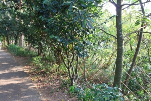 風超大之18尖山隨手拍~
