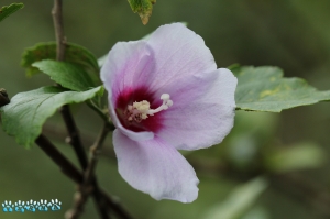 心虛的~作業亂亂拍
