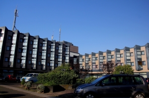 好天氣的德國萊因河