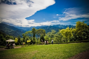 與女王之旅【綠光森林】