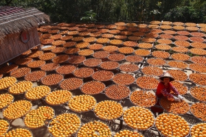 新埔味衛佳柿餅