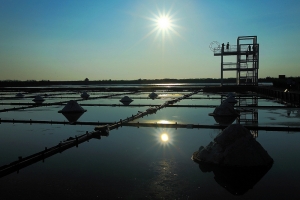 初攝井仔腳瓦盤鹽田