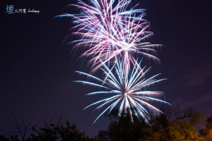 ::: Fireworks & Lightning 煙火閃電秀 by DV :::