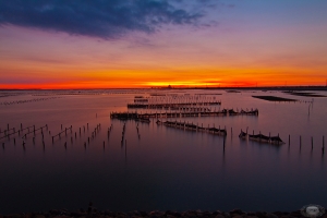 七股一張溜(是溜不是流)