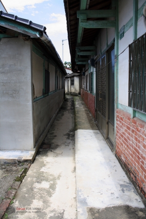 竹崎鄉散步隨拍