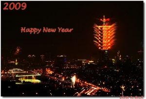 2009 跨年煙火 (金面山)