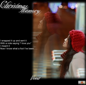 Christmas memory-Venus.希