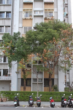 士林紙廠隨手拍-新年快樂兔年第一帖