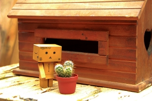 阿愣的公園探險