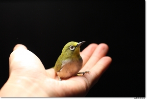 ●●●My Old Friend 啾●●●By雙胞胎姊姊