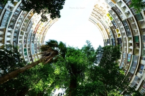 高雄左營 果貿社區(特色建築物)