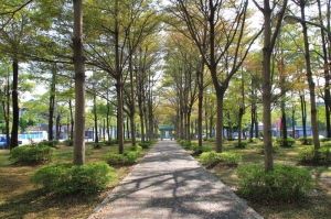 東光園道鐵騎行