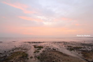 【 試鏡 】Canon EF-S 10-22mm F3.5-4.5 USM