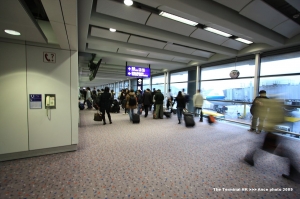 The Terminal - HK