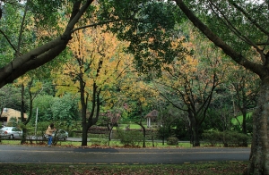 陰霾之際 石門水庫