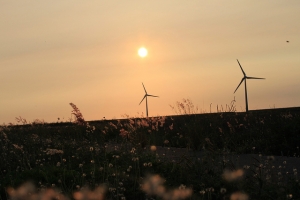 [新手,請多多指教]濱海夕陽照