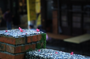 一個人的旅行...內灣線