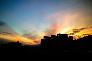 ~荷花~~今日中興新村 蓮花池