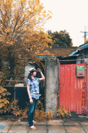 군사 커뮤니티‧IVY