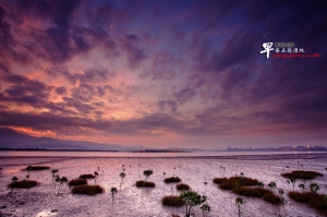 新北市五股 早安五股溼地