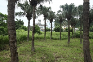 墾丁去來