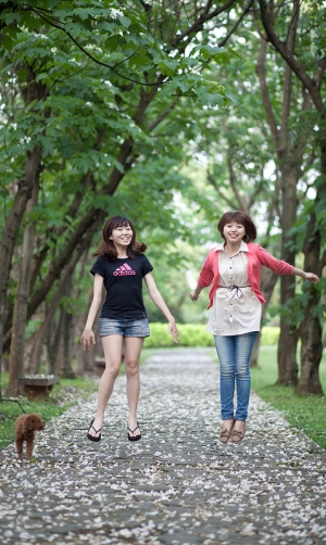 埔心牧場桐花趣