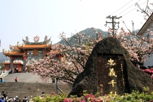 去天元宮賞櫻花