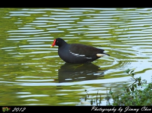 Q1結束清庫存~BY 好攝客